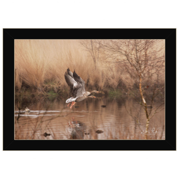 Fly Away 3 Black Framed Print Wall Art 415897 By Homeroots