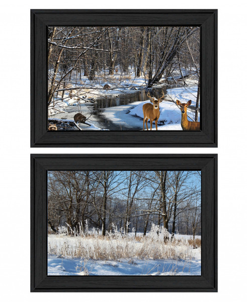 Set Of Two Great Outdoors Nature Or Winter Forest 3 Black Framed Print Wall Art 416034 By Homeroots