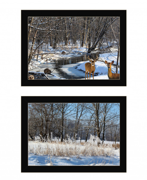 Set Of Two Great Outdoors Nature Or Winter Forest 1 Black Framed Print Wall Art 416036 By Homeroots