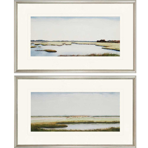Set Of Two Marshlands I Silver Print Wall Art 416305 By Homeroots