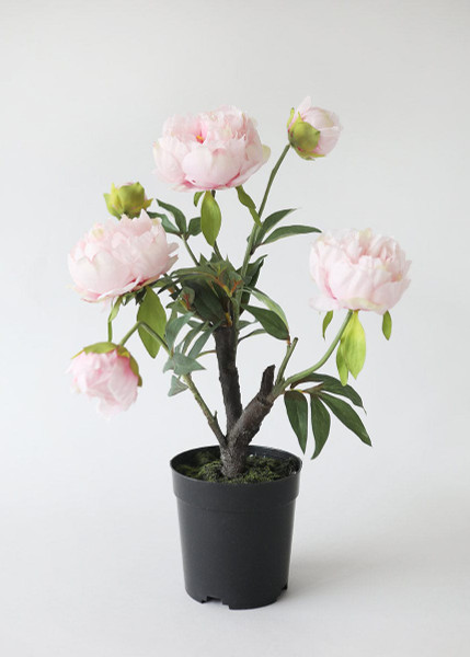 Pink Faux Peony Plant In Drop-In Pot - 19.5" NAP-GP284 By Afloral