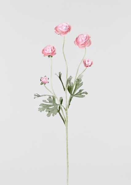 Faux Ranunculus Flowers In Soft Pink - 28" SLK-ZTR227-PK/SO By Afloral