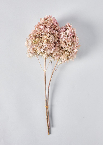 Light Mauve Pink Preserved Hydrangea Bundle - 16-20" OCH-01525-171 By Afloral