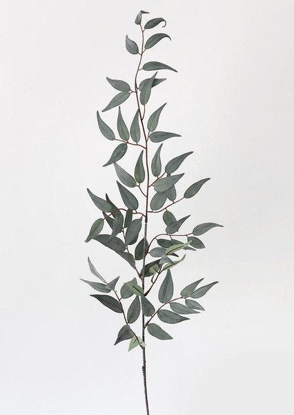 Artificial Italian Ruscus Leaf Branch - 36" SLK-PSR247-GR By Afloral