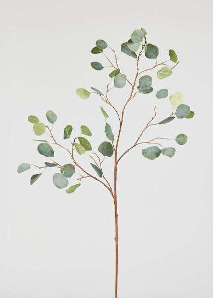 Artificial Silver Dollar Eucalyptus Branch - 44" WIN-95969-GR By Afloral