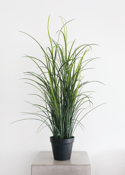 Uv Treated Outdoor Potted Grass Plant - 38" SLK-LQG061-GR By Afloral