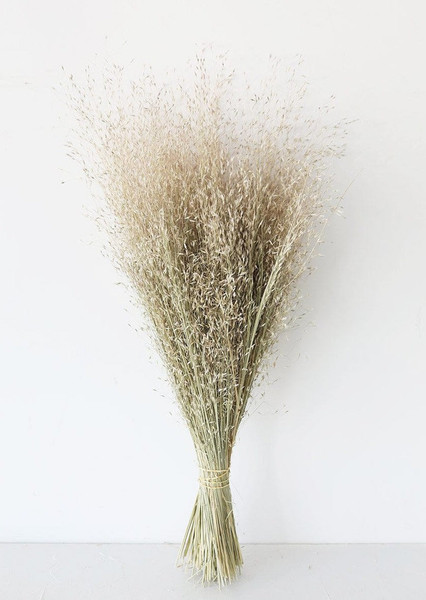 Dried Indian Rice Grass - 22-28" LJF-RICE By Afloral