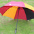 Golf Umbrella (Collection Only)