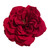 Luxe Red Open Rose Hair Flower Clip and or Brooch Pin