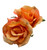 Double Tangerine Orange Rose Hair Flower Clip