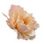 Cute 3 inch Peach Peony Hair Flower Clip and or Brooch Pin