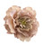 Tan Natural Peony Hair Flower Clip