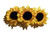 Triple Sunflower Hair Clip