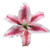 Large Pink Stargazer Lily Hair Flower Clip