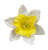 Spring Daffodil Narcissism Flower Hair Clip