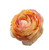 Small Peach Ranunculus Hair Flower Clip