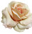 Beautiful Ivory Rose Hair Flower Clip