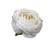 Cute White 3” Ranunculus Hair Flower Clip