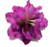 Purple Azalea Hair Flower Clips - Pair