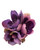 Cute 3” Purple Cherry Blossom Hair Flower Clip