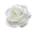 Cute 3 inch Bright White Rose Hair Flower Clip
