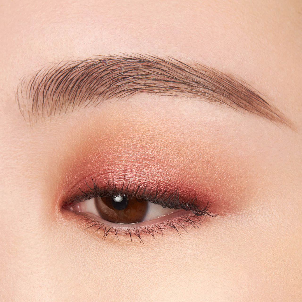 SUQQU Signature Color Eyes ~ 140 MIYABIZORA ~ 2024 Autumn Limited