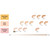 SUQQU The Cream Foundation e 30g ~ Autumn 2026 new item