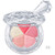 JILL STUART Bloom Mix Blush Compact ~ 2020 Spring new item