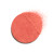 CHANEL Les Beiges Healthy Winter Glow Blush ~ Corail Givre ~ 2024 Spring Limited Edition