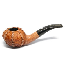 Northern Briars - Sea Urchin Tan - Cumberland Stem (Gr5)