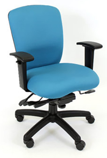 RFM Rainier R6 Medium Back Task Chair