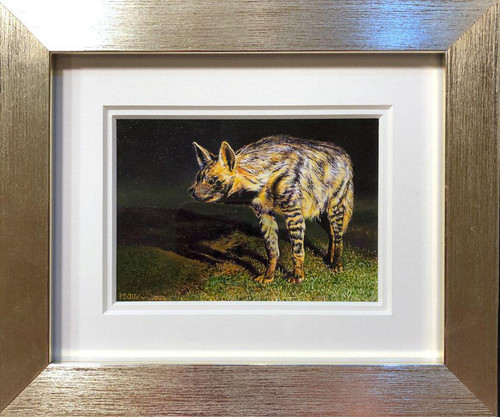 1052 Striped Hyena