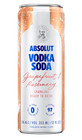 Picture of ABSOLUT GRAPEFRUIT & ROSEMARY SN 12OZ VODKA SODA, SPARKLING