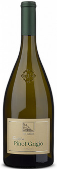 Picture of CANTINA TERLANO PINOT GRIGIO