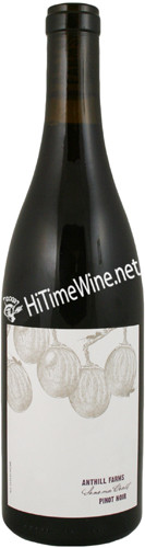 Picture of ANTHILL FARMS 2019 PINOT NOIR SONOMA COAST 750mL