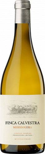 Picture of BODEGA Y VINEDOS MUSTIGUILLO 2020 FINCA CALVESTRA MERSEGUERA BLANC 750ml