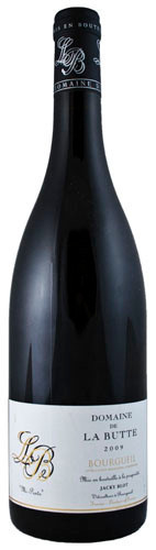 Picture of DOMAINE DE LA BUTTE BOURGUEIL MI PENTE