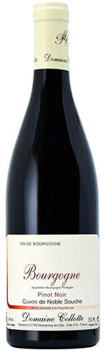 Picture of COLLOTTE BOURGOGNE NOBLE SOUCHE