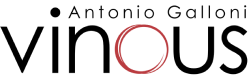 Vinous Score: Logo
