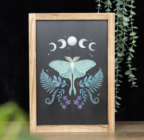 LUNA MOTH MOON PHASE DARK FOREST FRAMED WALL ART PRINT