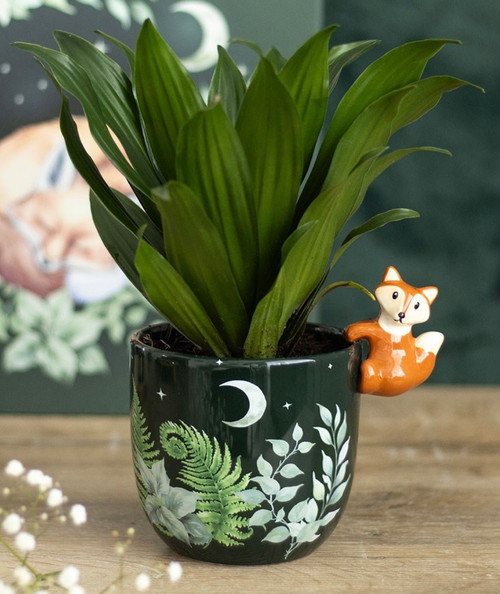 Fawn & Friends Fox & Woodland Theme Dark Green Ceramic Plant Pot With Cute Hanging Freddie Fox