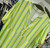 SALE NO RETURN FUN NEON STRIPED NOTCH NECK LOOSE FIT SMOCK DRESS - PINK, ORANGE, GREEN & YELLOW ONESIZE FITS UK 10-18 WAS £26