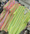 SALE NO RETURN FUN NEON STRIPED NOTCH NECK LOOSE FIT SMOCK DRESS - PINK, ORANGE, GREEN & YELLOW ONESIZE FITS UK 10-18 WAS £26