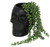 BLACK SKULL PLANT POT
