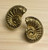 Large statement gold seashell stud post earrings