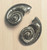 Large statement silver seashell stud post earrings