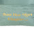 SAGE GREEN VELVET JUST ONE MORE CHAPTER CUSHION WITH BOOK POCKET