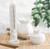 Tranquil Retreat 7 Chakras Yoga Pose Incense Holder