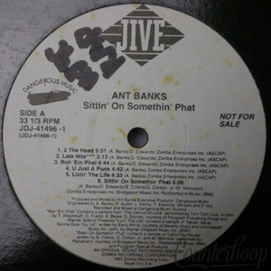 Ant Banks-Sittin' On Somethin' Phat 1993 Promo Jive-JDJ41496-1+Too Short,Spice 1