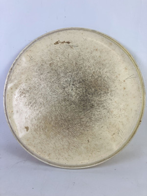 *Slingerland 14" Genuine Calf Skin Snare Batter/Floor Tom Drum Head Vintage 50s* *Slingerland 14" Genuine Calf Skin Snare Batter/Floor Tom Drum Head Vintage 50s*